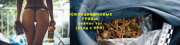 наркотики Алексин