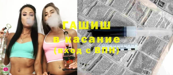 индика Абаза