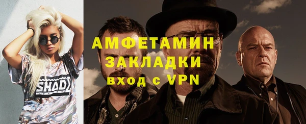 индика Абаза