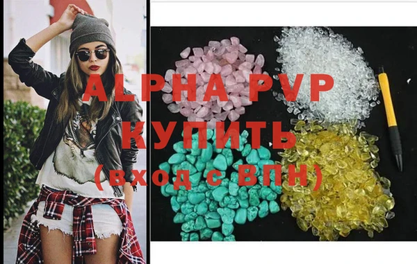 индика Абаза