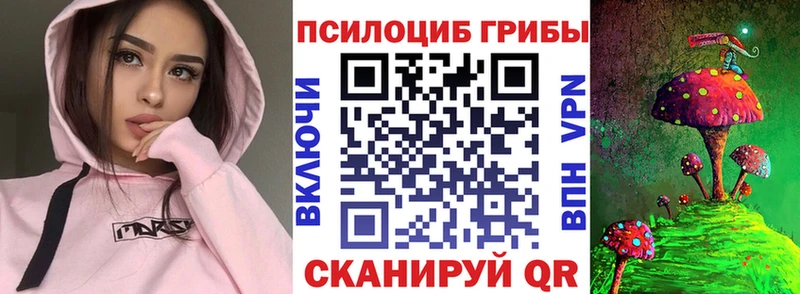 закладка  мега ссылка  Псилоцибиновые грибы прущие грибы  Руза 